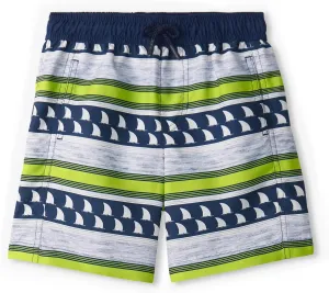 Hatley Boys' Swim Board Shorts