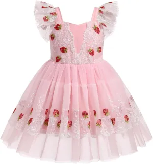IBTOM CASTLE Toddler Birthday Dress Baby Girls Ruffle Floral Lace Embroidered Tulle Tutu Dress Princess Pageant Party Dress